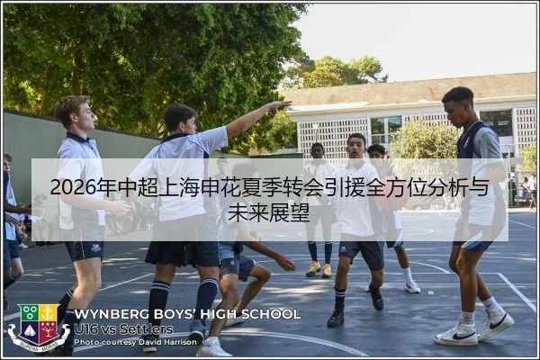 2026年中超上海申花夏季转会引援全方位分析与未来展望