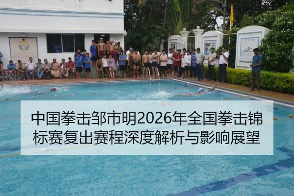 中国拳击邹市明2026年全国拳击锦标赛复出赛程深度解析与影响展望